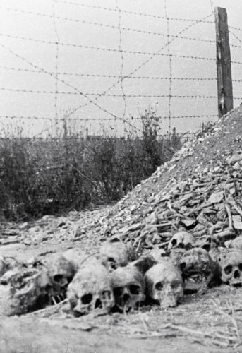 Гора из человеческих костей и пепла расстрелянных и сожженных заключенных лагеря смерти.