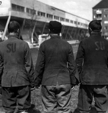 The inscription "SU" (Soviet Union) on the clothing is a distinctive sign of a Soviet prisoner of war.  Denmark, a POW camp, 1945. State Archive of the Russian Federation / F. 9526. Op. 4.D.65. Sheet 1