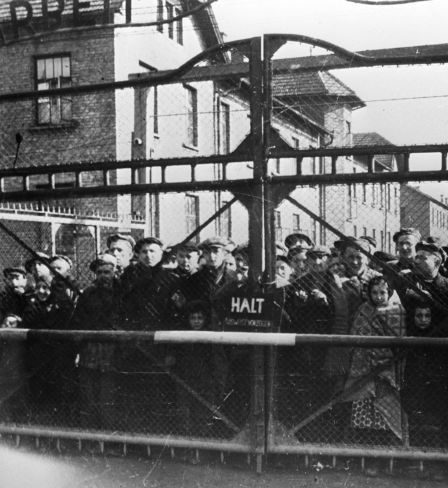 Häftlinge von Auschwitz. Januar 1945.