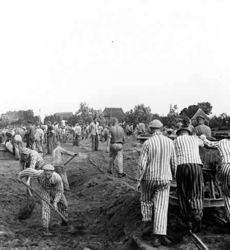 Détenus du camp de concentration de Neuengamme