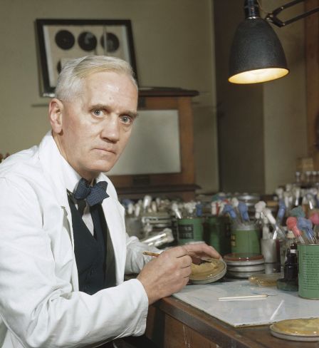 Professor Alexander Fleming, holder of the Chair of Bacteriology at London University, who first discovered the mould Penicillin Notatum. Here in his laboratory at St Mary's, Paddington, London (1943)