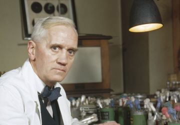 Le professeur Alexander Fleming, créateur de la pénicilline, dans son laboratoire, Londres, 1943.