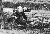Prisonnier de camp de concentration sur un barbelé. Photo des archives de la Croix-Rouge internationale. Croix-Rouge polonaise. Polish Red Cross.