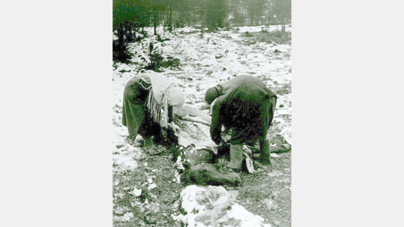 Des femmes prélèvent des morceaux de viande sur la carcasse d’un cheval mort.